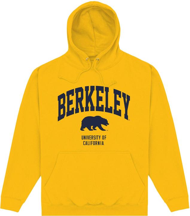Actual product image Park Fields Unisex Adult Bear Hoodie (M)