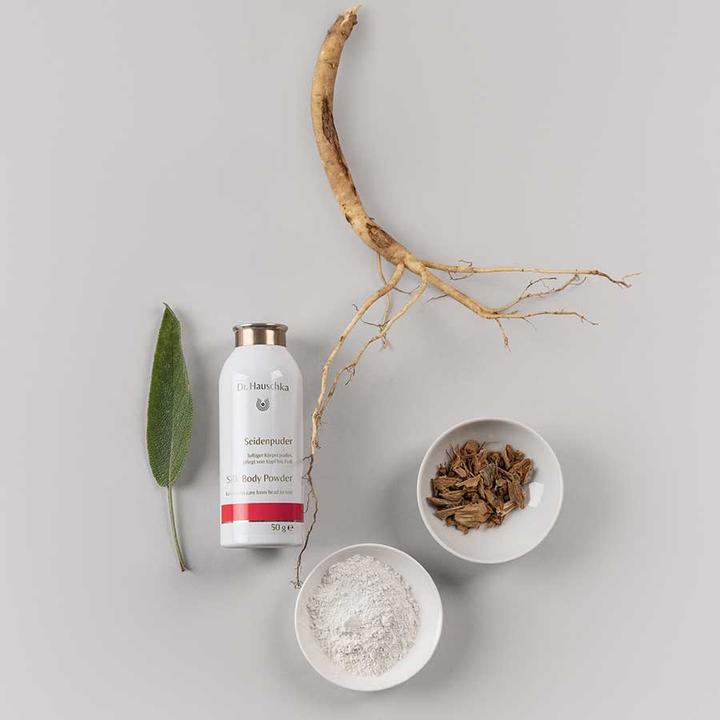 Actual product image Dr. Hauschka Silk powder (Body powder, 300 ml)