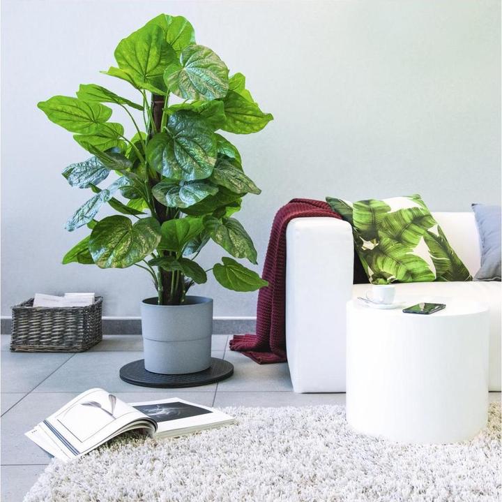 Produktbild Hama Universal Drehteller