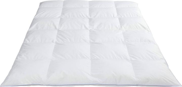 Actual product image Erwin Müller Bernau (1000 g, 155 x 220 cm)