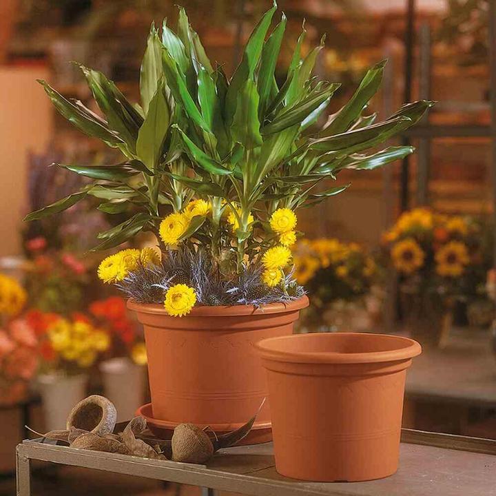 Image du produit Euro3plast Bacs à plantes (35 cm)