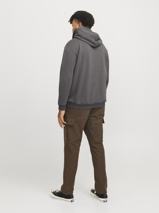 Immagine prodotto Jack & Jones Jjebradley Sweat Hood Noos Pls (XXL)