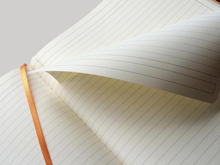 Actual product image Rhodia Notebooks and notebooks Rho (A4+, Lined, Soft cover)