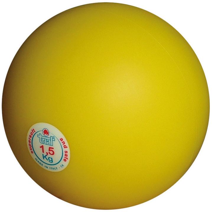 Trial Hallen-Stosskugel, 1,5 kg (1500 g)