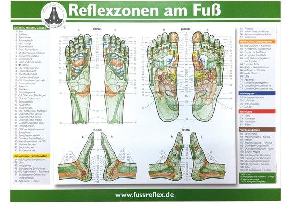 Produktbild You Nails Fussreflexzonentafel 59 x 41 de