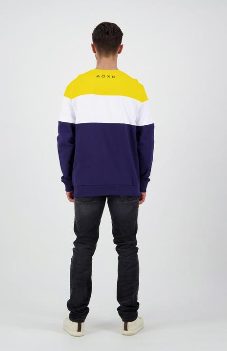 Image du produit Sony Colour Block Sweater pour hommes (XL)