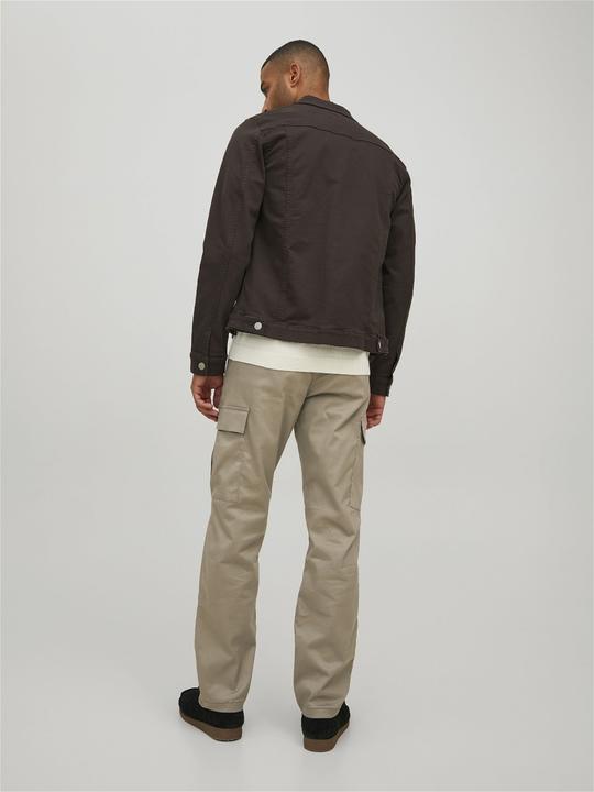 Image du produit Jack & Jones Kane Pablo Pantalon cargo (32)