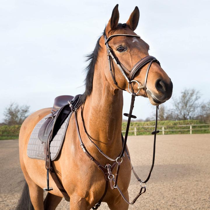Produktbild Horze Verstellbares Jagdhalsband für Pferde