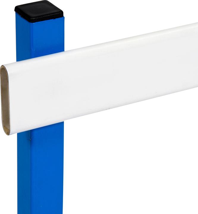 Immagine prodotto Sport-Thieme Ostacolo magnetico (4000 g)