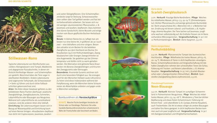Produktbild Nano-Aquarien (20.20 cm)