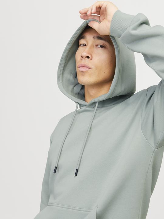 Produktbild Jack & Jones Jjebradley Sweat Hood Noos (XS)