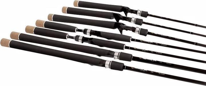Immagine prodotto Quantum Rivelatore di vapore Jigging estremo (Canna da mosca, 250 cm)