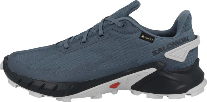 Salomon Alphacross 4 (43 1/3)