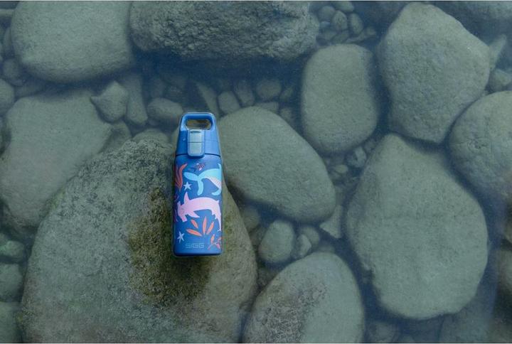 Productafbeelding Sigg Bouteille isolante Therm One Blue World 0,5 l (0.50 l)