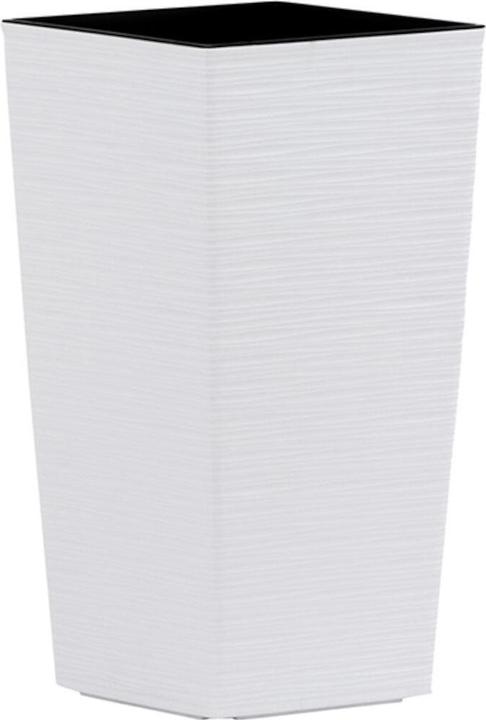 Image du produit Siena Garden Modern (25 cm)