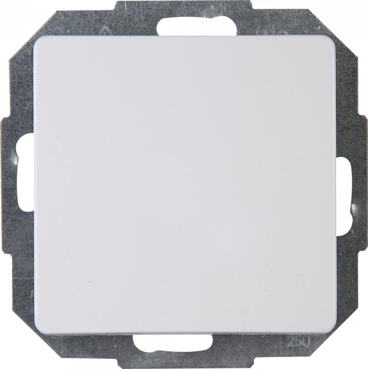 Actual product image Kopp Universal switch