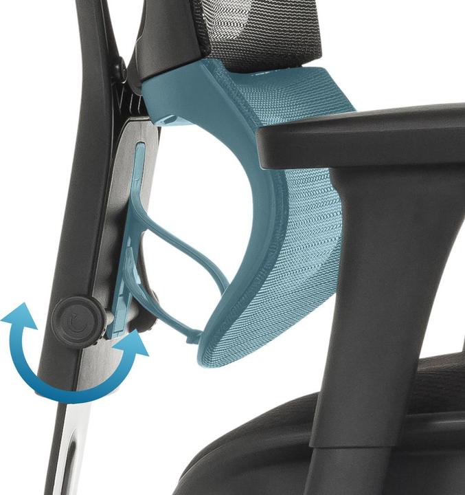 Image du produit Hjh Office Ergohuman Slim Eco F Gen2