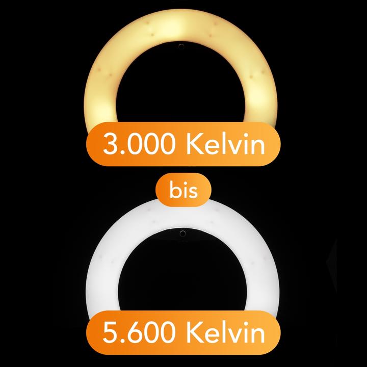 Actual product image Walimex RLL-500BV (Ring light)