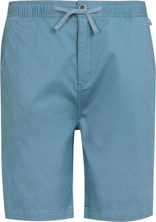 Produktbild Regatta Aldan Shorts (42)
