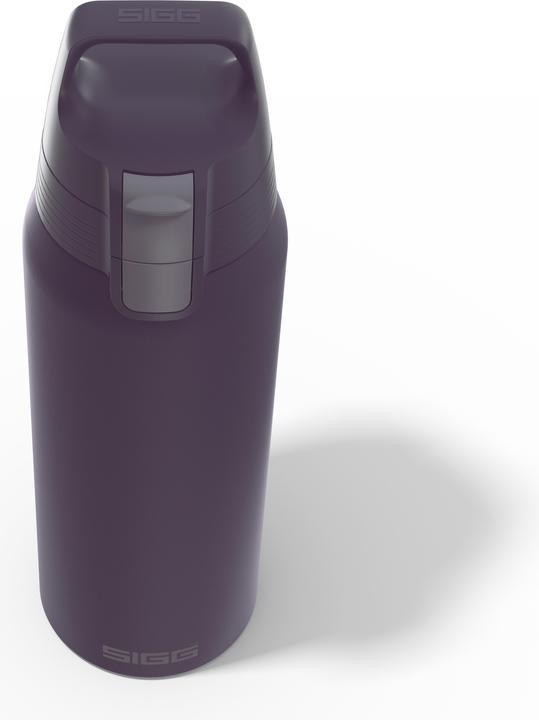 Productafbeelding Sigg Bouteille isolante Therm One 0,75 l (0.75 l)