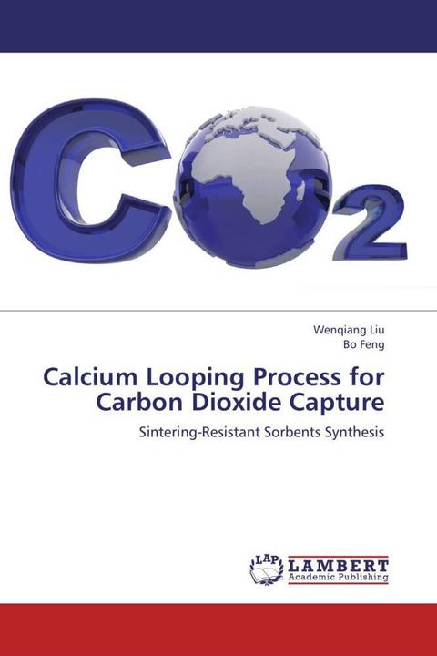 Actual product image Calcium Looping Process for Carbon Dioxide Capture (German, Wenqiang Liu, Bo Feng, 2013)
