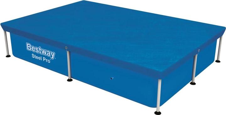 Actual product image Bestway Silas