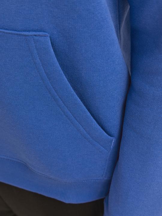 Image du produit Jack & Jones Jcomountain Logo Sweat Hood Sn Jnr (152)
