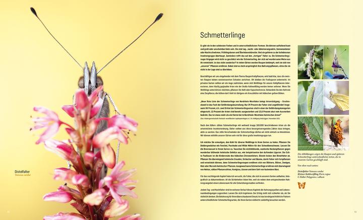 Actual product image Mein Artenretter Garten (German, Anja Eder, 2024)