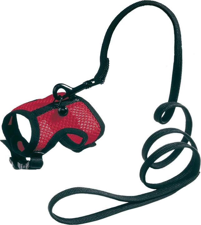 Image du produit Ferplast Jogging (S, Rongeur, Jogging)