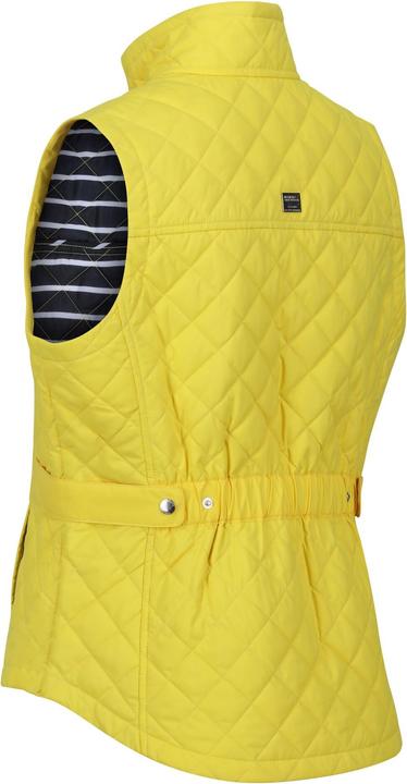 Actual product image Regatta Womens/Ladies Carmine Gilet (38 D)