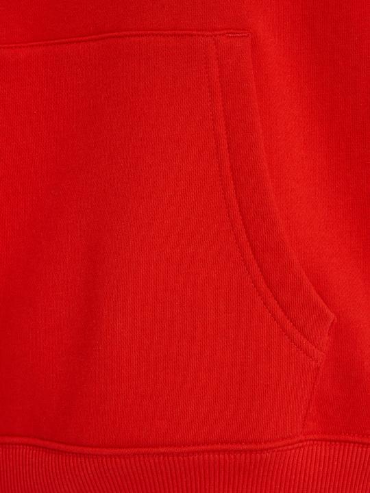 Image du produit Tommy Jeans Tjw Bxy Logo Drawcord Hoodie Ext (M)