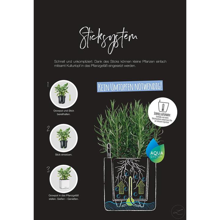 Produktbild Lechuza Green Wall Home Kit (15 cm)