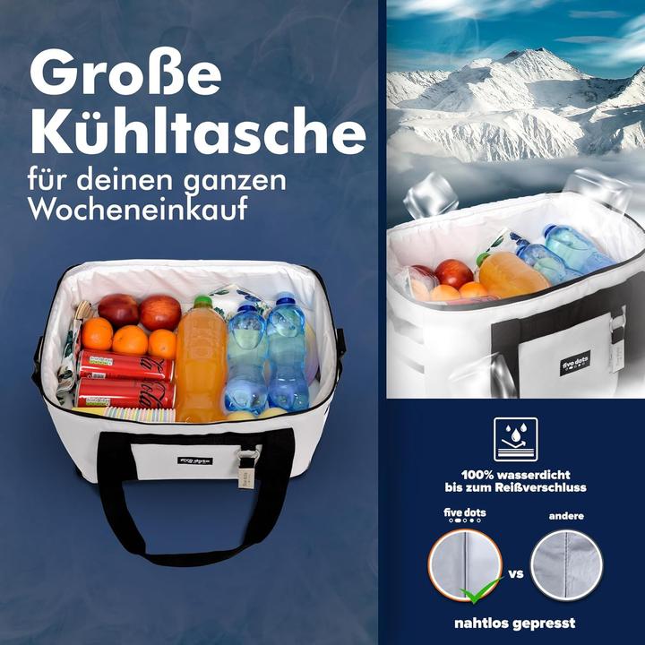 Immagine prodotto Five Dots Borsa frigo (17 l)