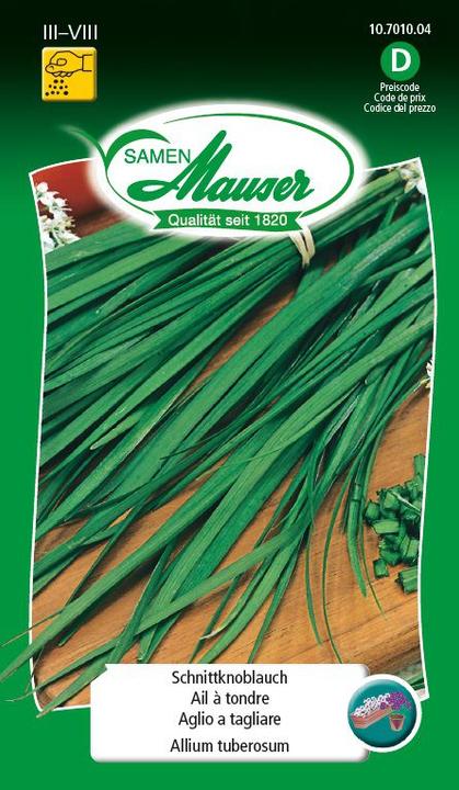 Produktbild Samen Mauser Schnittknoblauch (Kräutersamen)