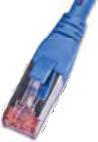 Actual product image Wirewin Network cable (UTP, CAT6, 0.25 m)