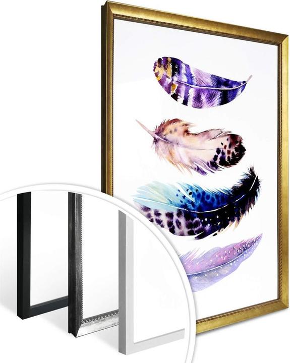 Produktbild Trenddeko Federn 01 (60 x 80 cm)
