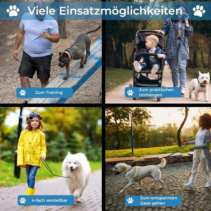 Actual product image Golden Pets Reflektierende Hundeleine (Dog)