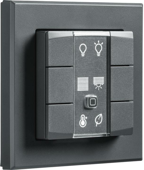 Immagine prodotto Homematic IP Interruttore radio a parete HmIP-WRC6-A