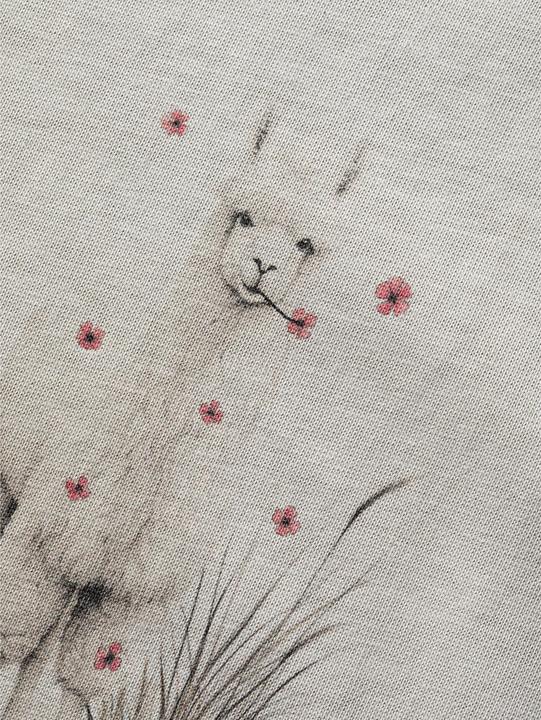 Actual product image Chillaz Klettershirt Alpaca Meadow (40, L)