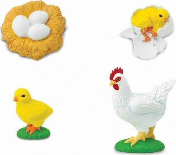 Produktbild Safari Lebenszyklus eines Huhn