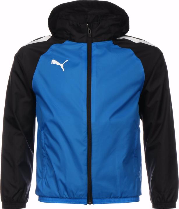 Actual product image Puma TeamLIGA All Weather Rain Jacket Kids (152)