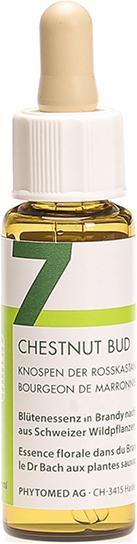 Immagine prodotto Phytomed Bachblüten No7 Knospen der Rosskastanie (1 Pezzo/i, Liquido, 24 g)