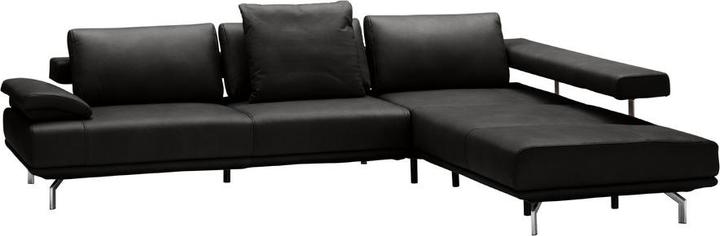 Cat. 56, Torro black