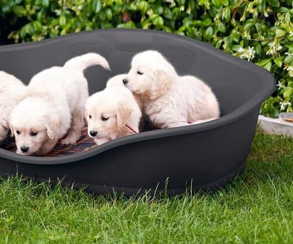 Actual product image Kerbl Sleepers (Cat, Dog)