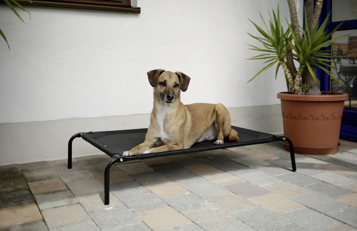 Image du produit Kerbl Chaise longue pour chiens Vacances (Chien)