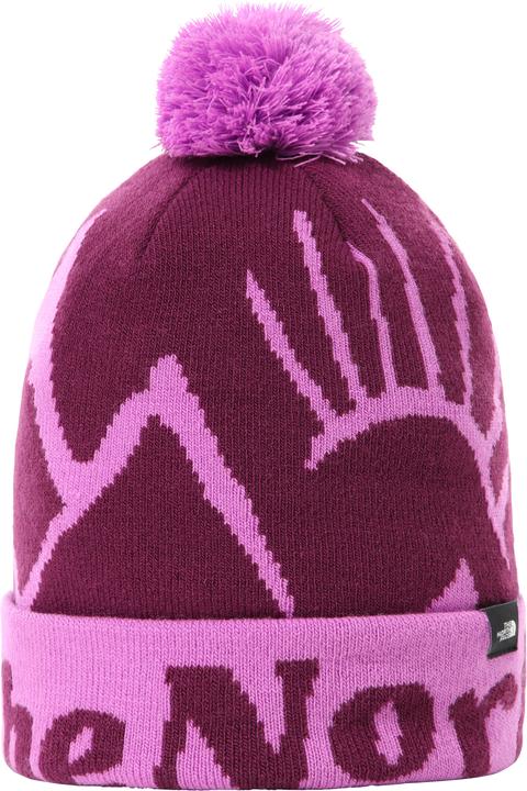 North Face Ski Tuke (One Size)