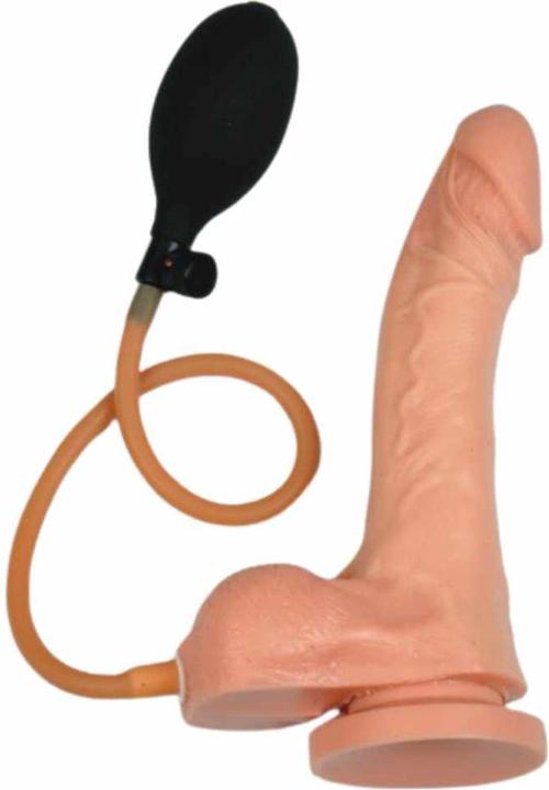 Image du produit Réel Pénis avec hod. 19cm avec pompe + ventouse