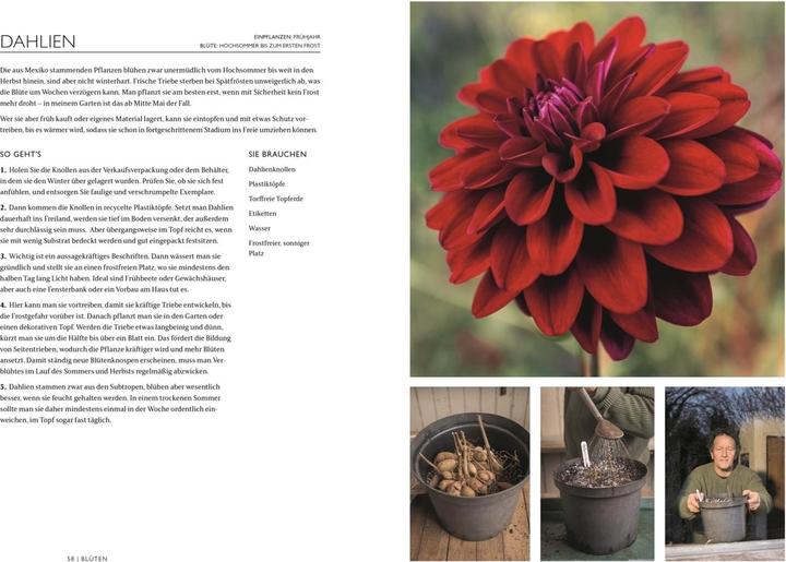 Produktbild Das Gartenbuch (Deutsch, Monty Don, 2024)