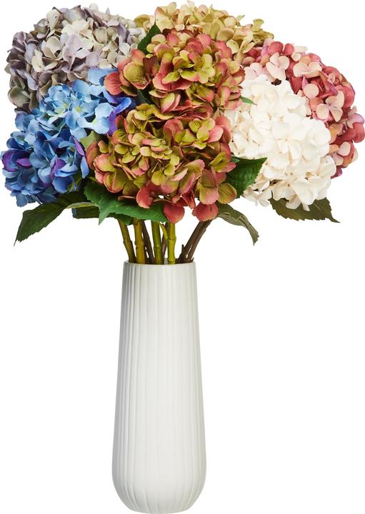 Actual product image micasa Hydrangea (65 cm)