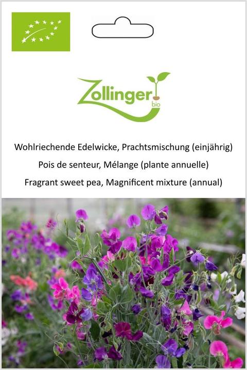Produktbild Zollinger Bio Wohlriechende Edelwicke, Prachtsmischung (einjährig) (Pflanzensamen)